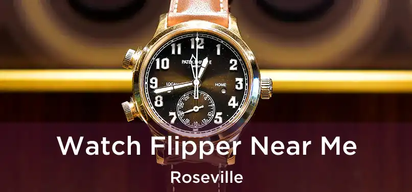 Watch Flipper Near Me Roseville